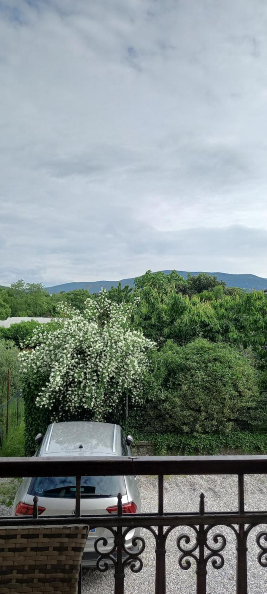 Casa Di Alice Leilighet Gorizia Eksteriør bilde